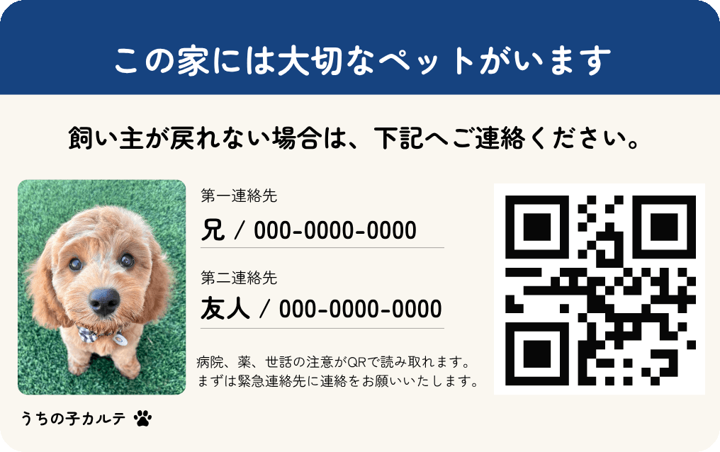 家用カードの見本