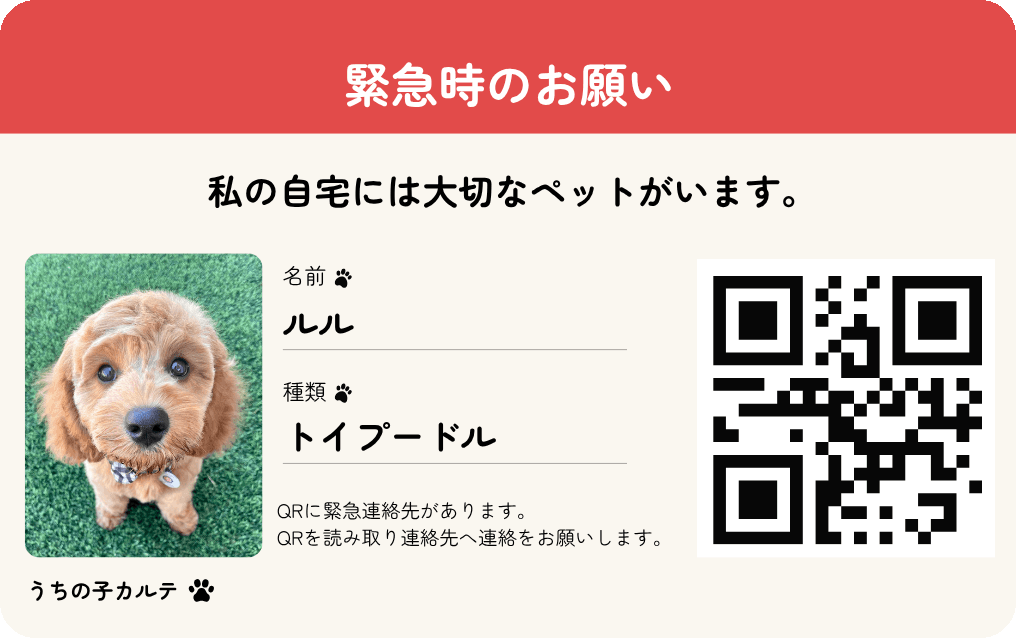 財布用カードの見本