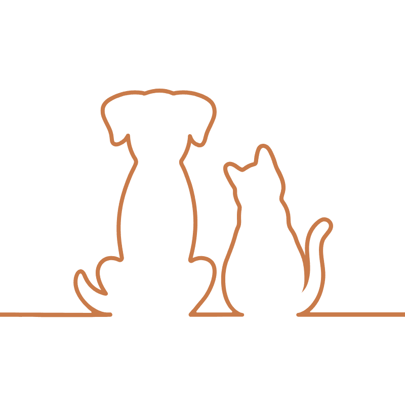 犬と猫のイラスト