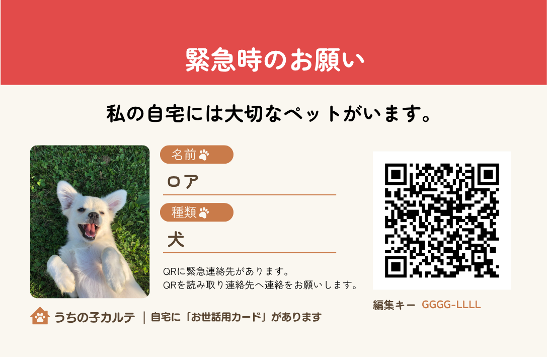 うちの子カルテ 緊急時用カードの実物見本